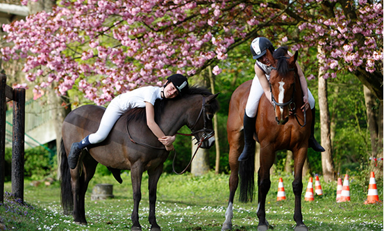 Pratique de l’équitation pour la détente
